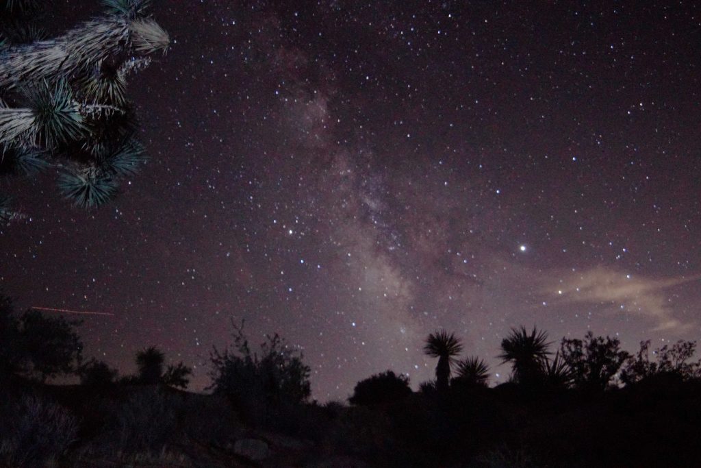 Milchstraße über dem Joshua Tree Nationalpark